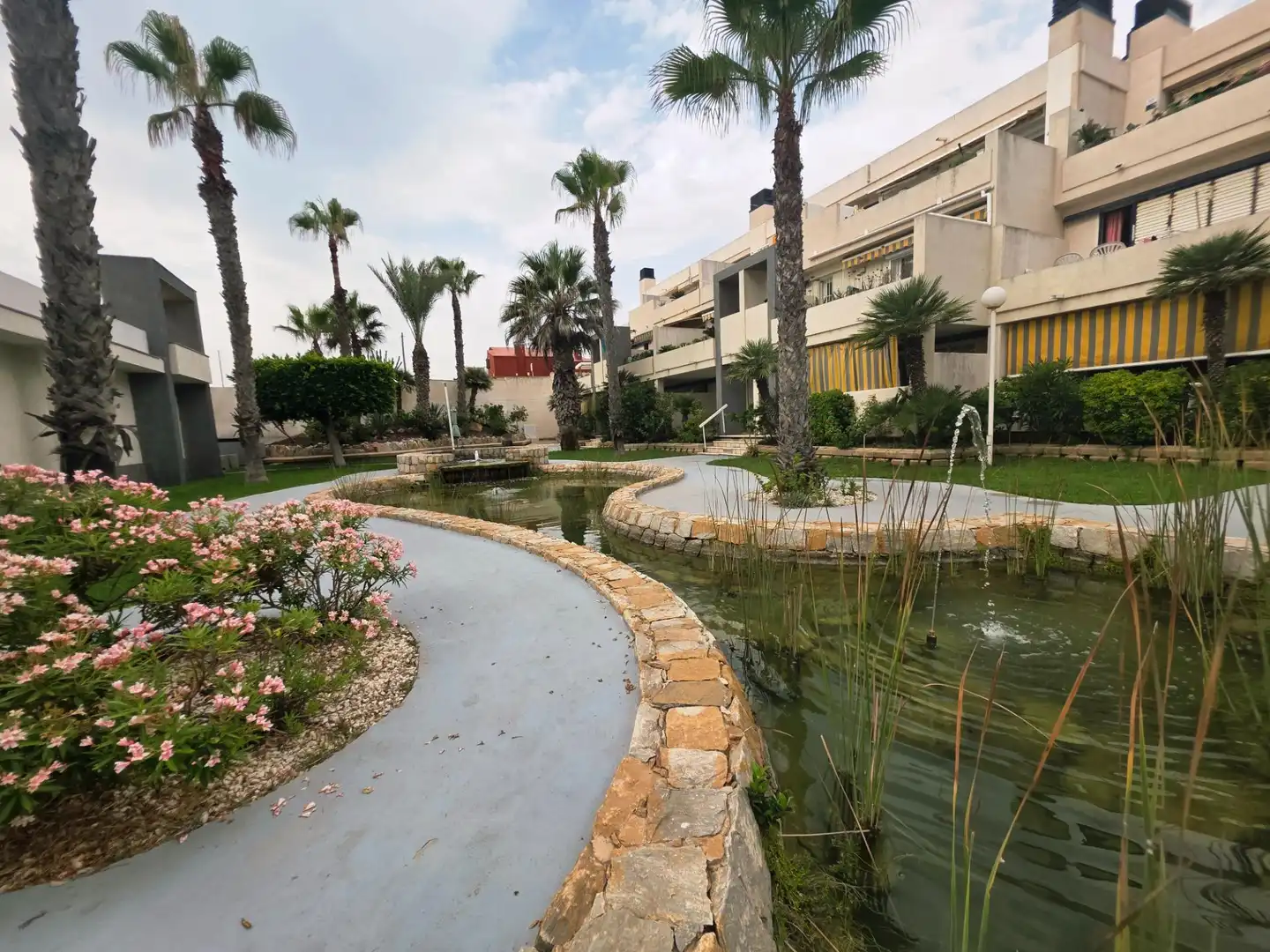 Piso con piscina en venta en La Mata, imagen 28