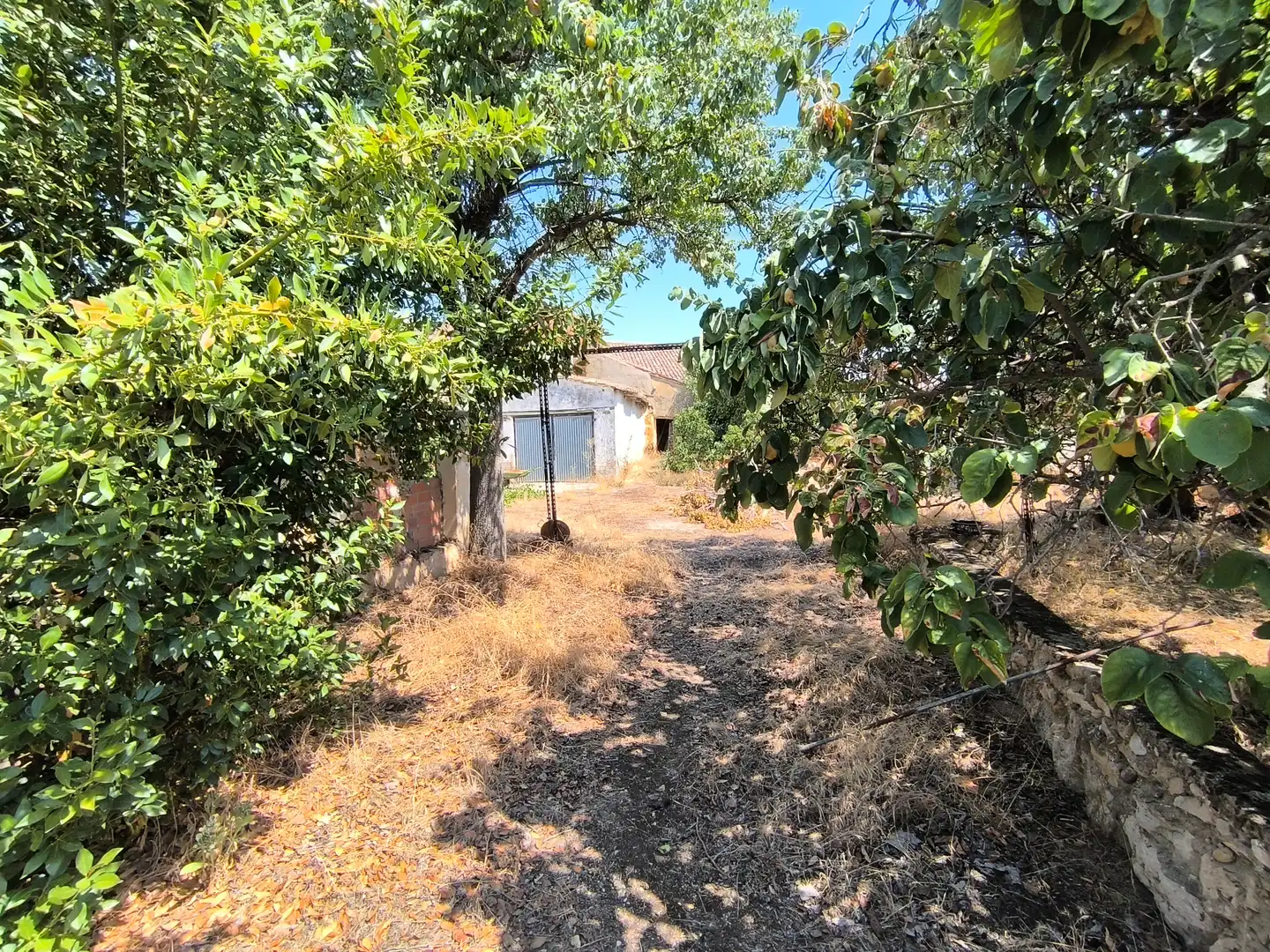 Casa o chalet en venta en Pedraza de Campos con Calefacción, Jardín privado y Terraza