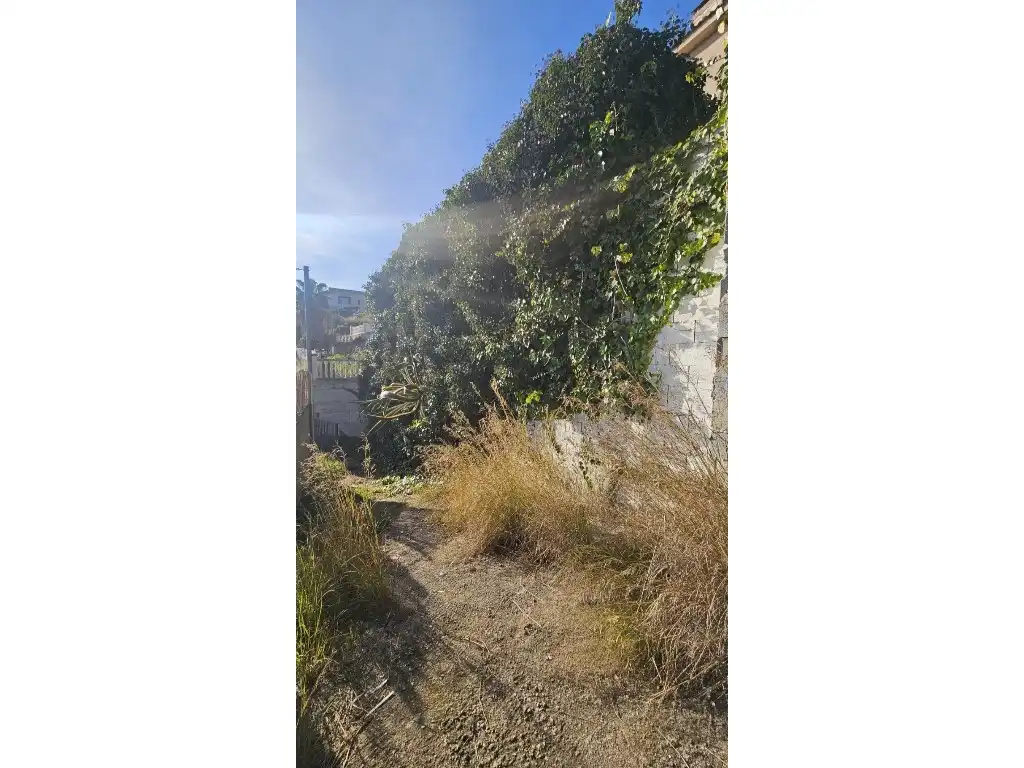 House for sale in Can Massuet del Far, imagen 50