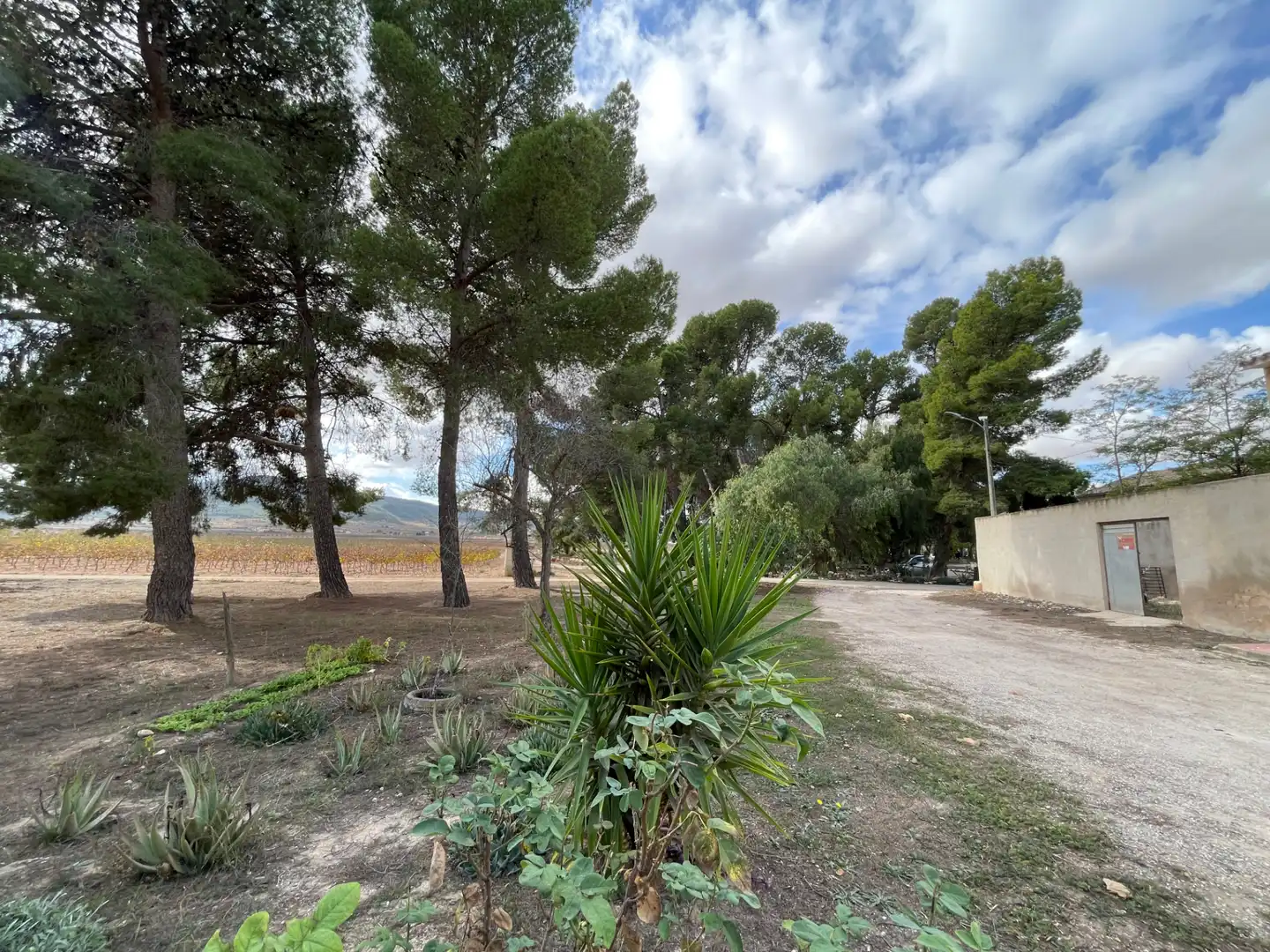 Casa o xalet en venda en Monóvar  / Monòver