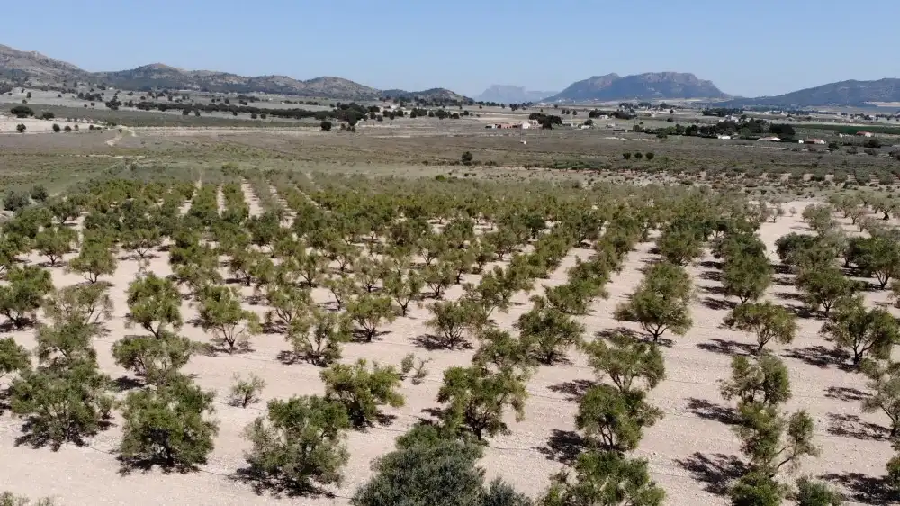 Residencial en venta en Salinas