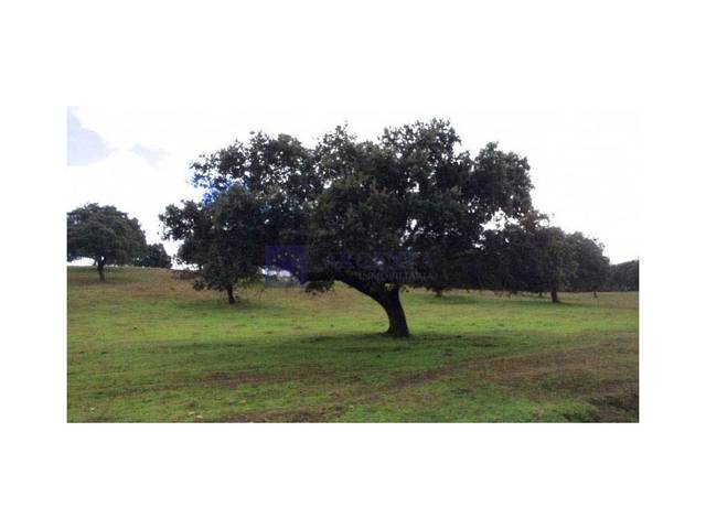 Casa-chalet en Venta en Diseminados Solana en Zona Sur - Av. de España - San Miguel