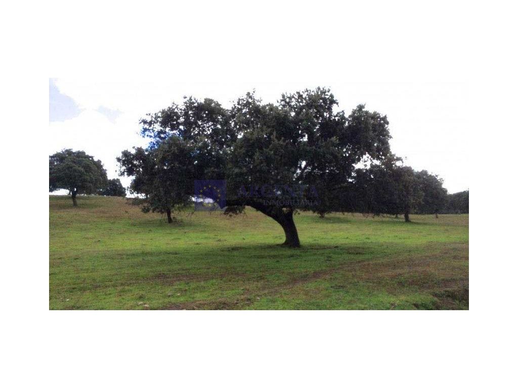 Finca rústica en venda en Plasencia