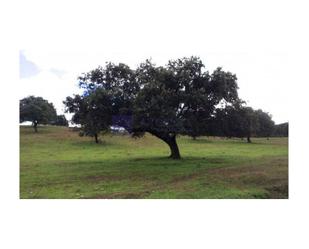 Finca rústica en venda en Plasencia