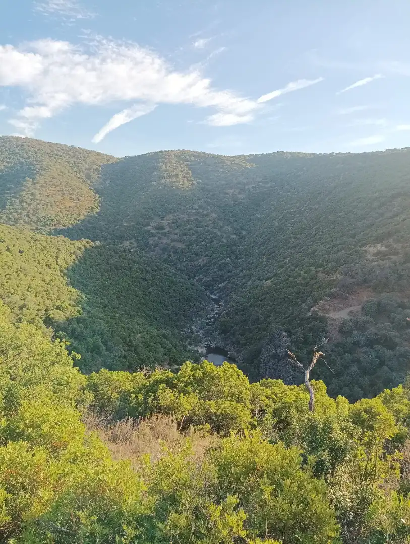 Exterior view of Land for sale in Córdoba