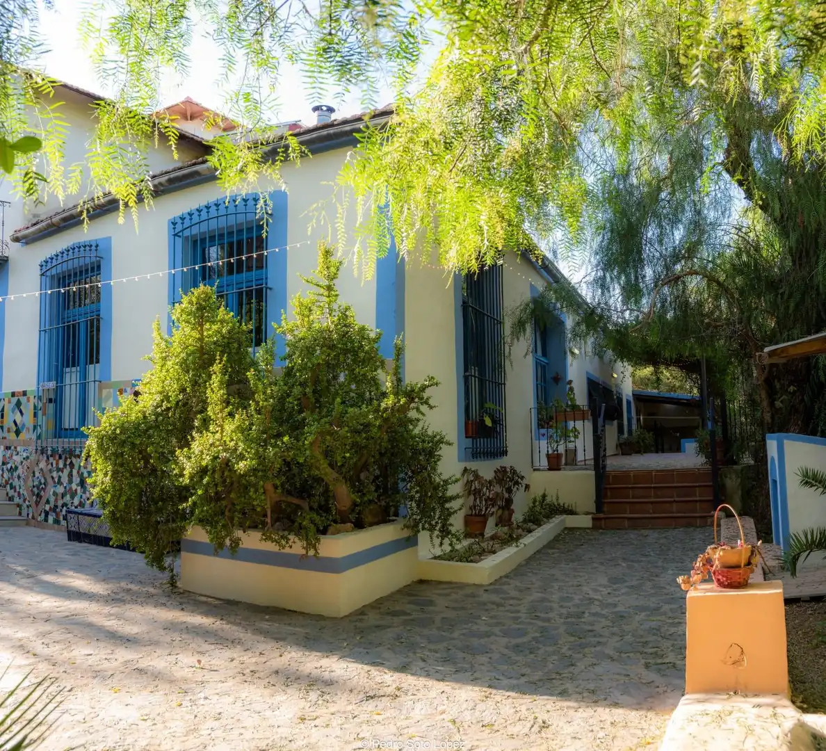 Casa o chalet en venta en Santa Ana