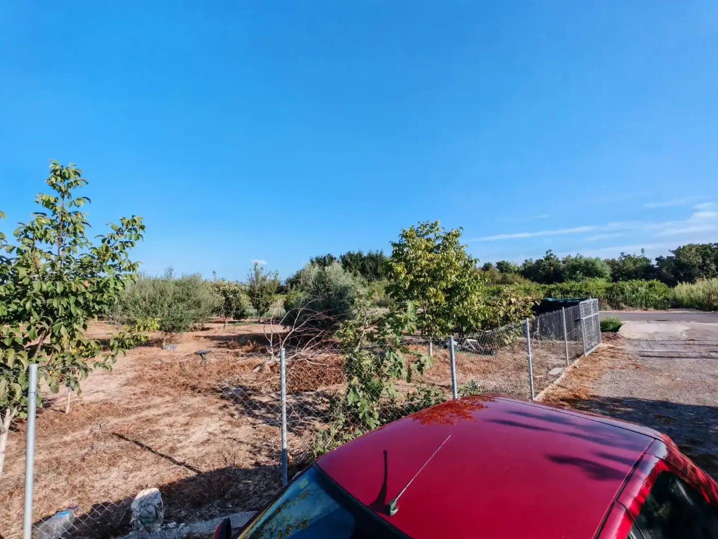 Rural land for sale in Benavites, imagen 14