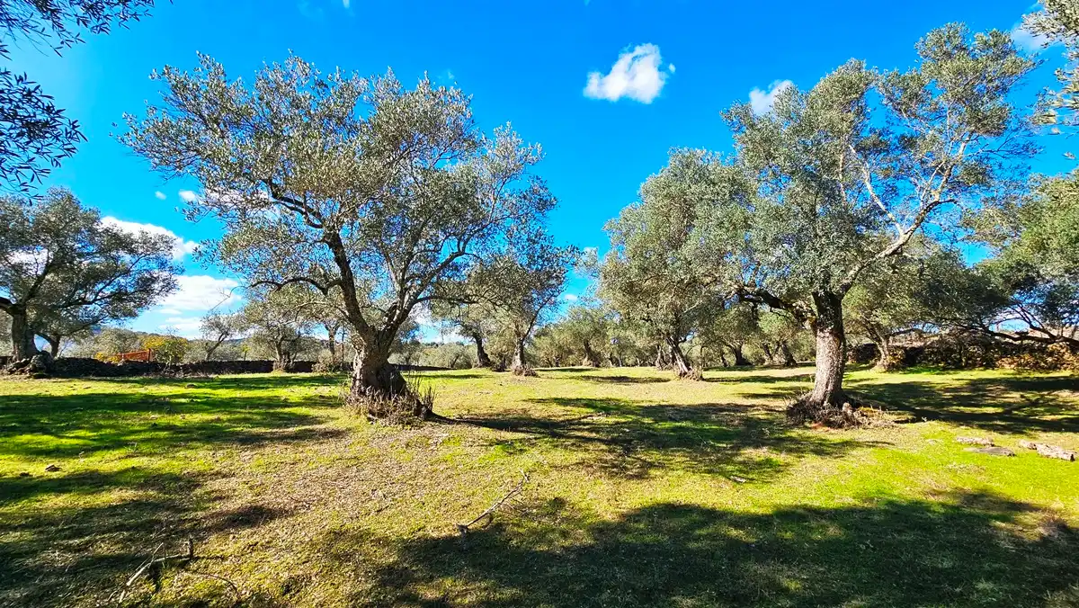 Casa rústica amb jardí en venda a Aracena, imagen 25