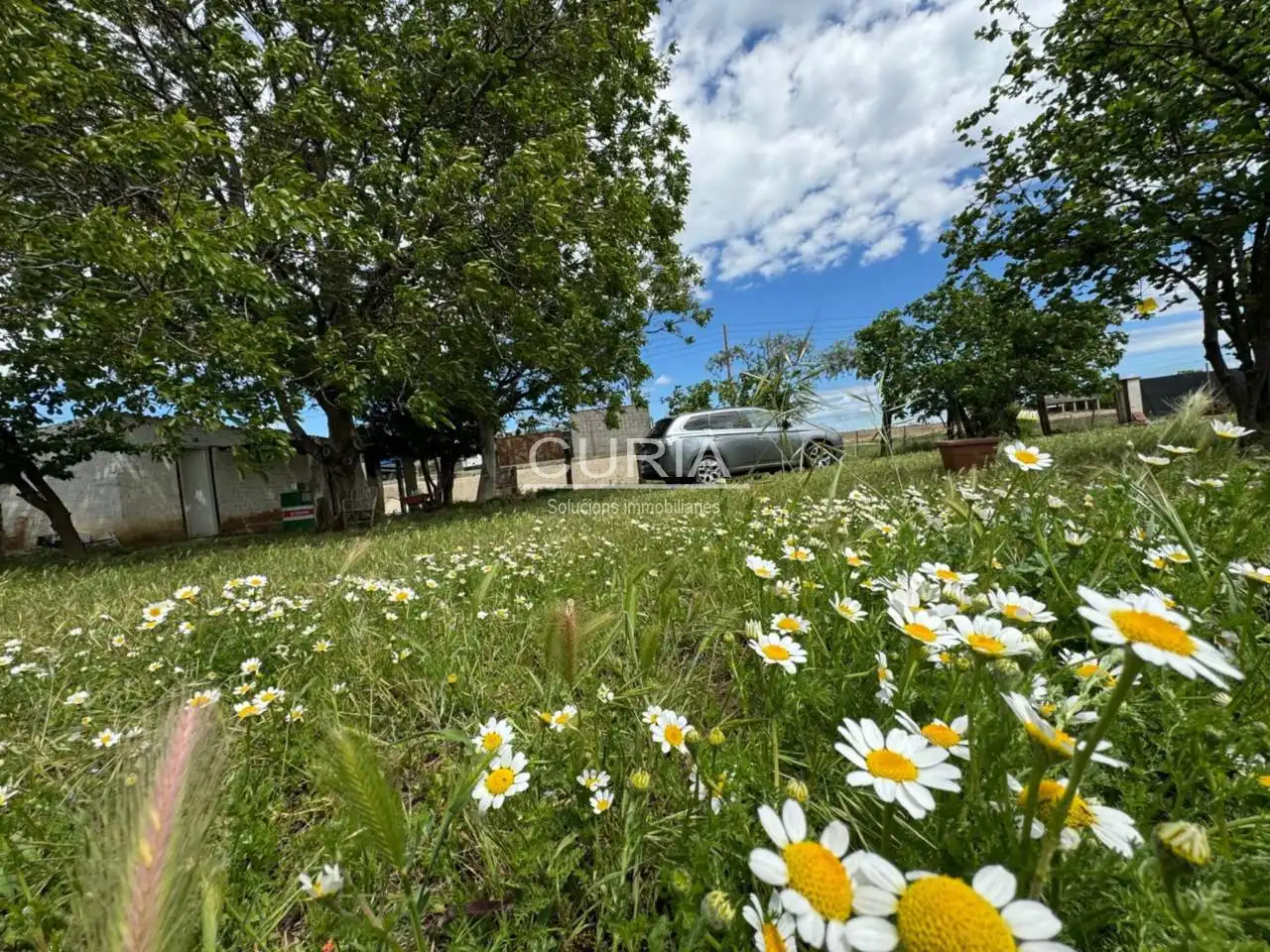 Land for sale in Cappont