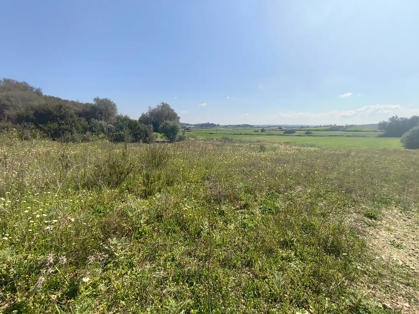 Rustikales Grundstück zum Verkauf in Ariany, imagen 10