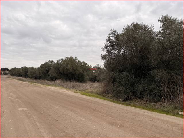 Terreno en Venta en La Torre de Esteban Hambrán