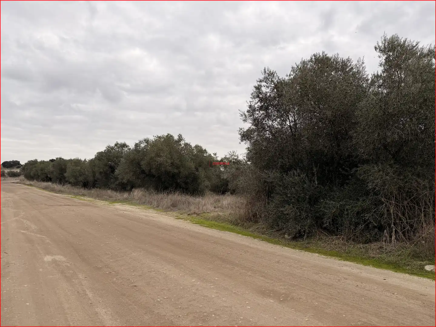 Rural land for sale in La Torre de Esteban Hambrán