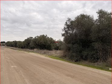Rural land for sale in La Torre de Esteban Hambrán
