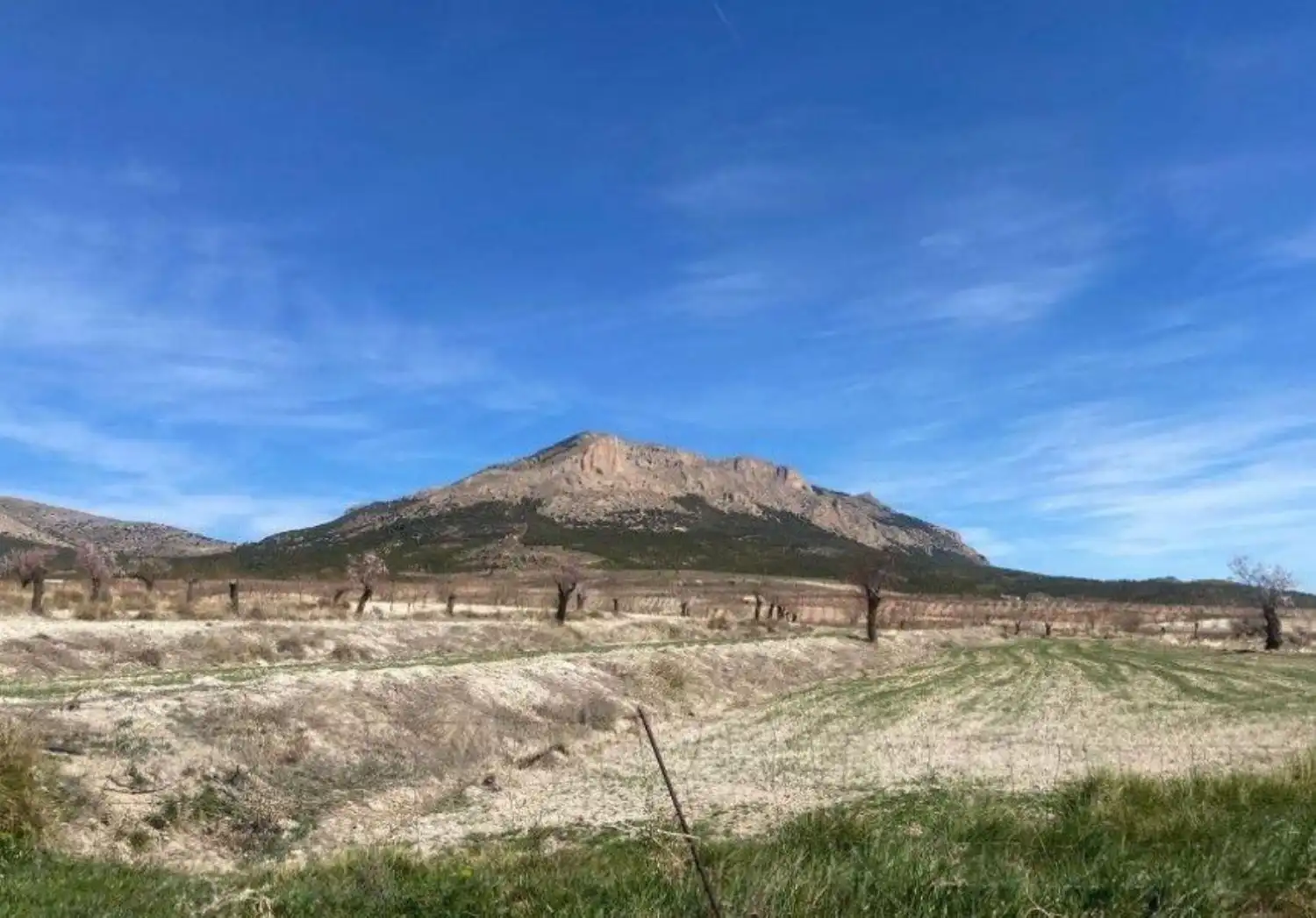 Vista exterior de Finca rústica en venta en Vélez-Rubio con Calefacción, Jardín privado y Trastero