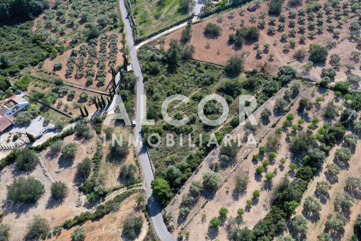 Finca rústica en venta en Càlig