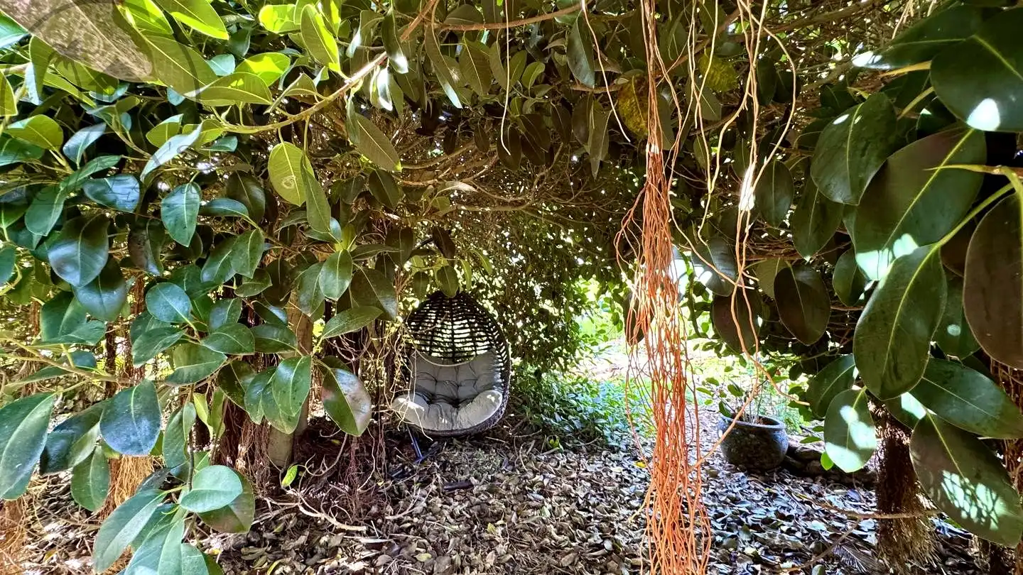 Jardí de Finca rústica en venda en Buenavista del Norte amb Jardí privat i Terrassa