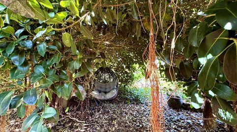 Foto 4 de Finca rústica en venda a San Antonio, Buenavista del Norte, Santa Cruz de Tenerife