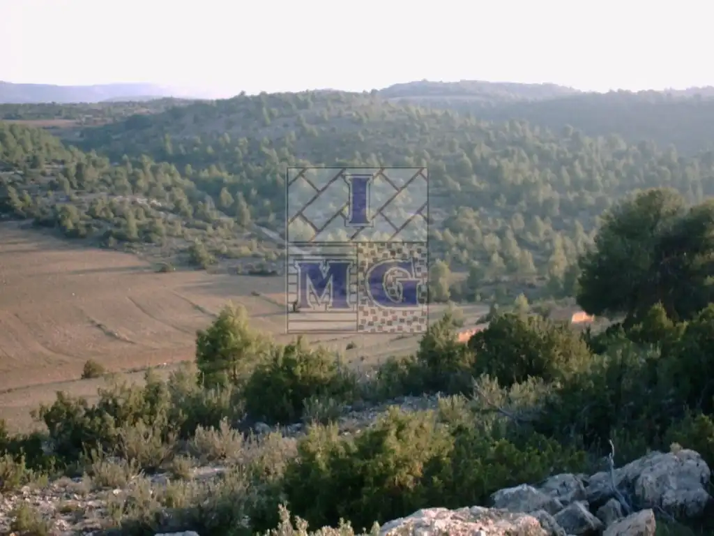 Finca rústica en venta en Yeste