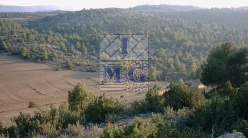 Foto 2 de Finca rústica en venta en Yeste, Albacete