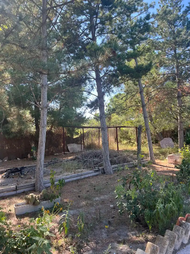 Xalet amb piscina en venda a Pedanías - Extrarradio, imagen 20