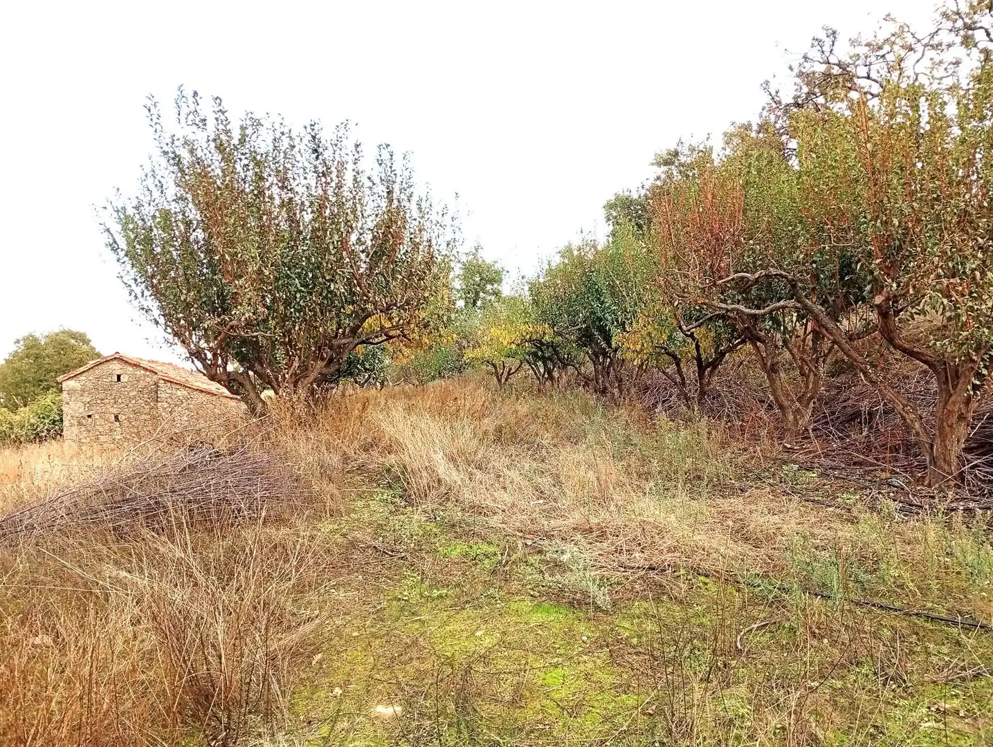 Terreni e lotti in vendita a Villanueva de la Vera, imagen 16
