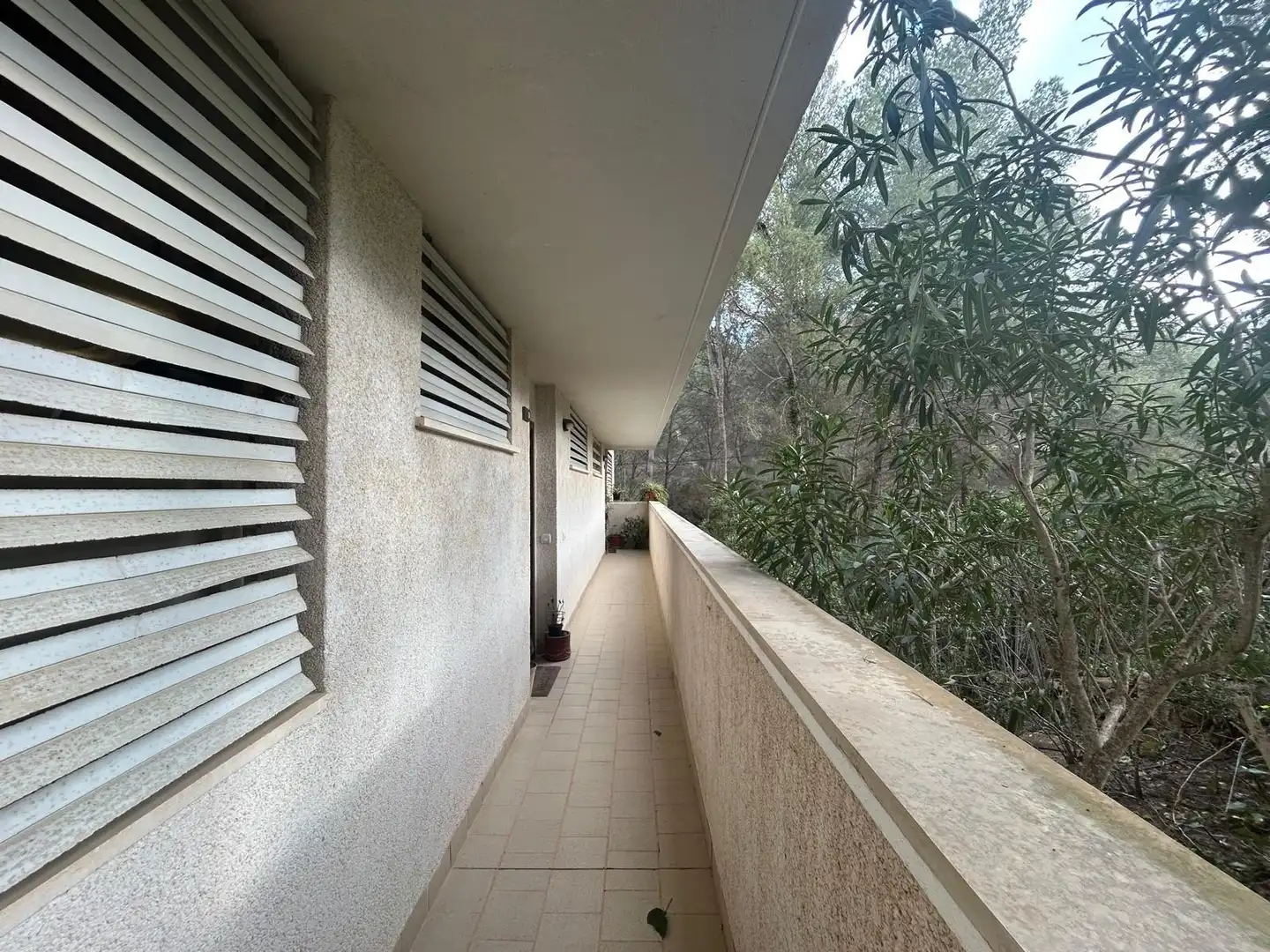 Terrassa de Pis en venda en Calvià amb Balcó