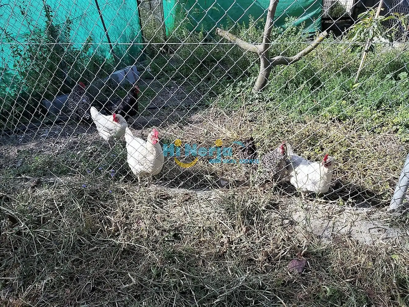 Casa amb piscina en venda a Centro, imagen 34
