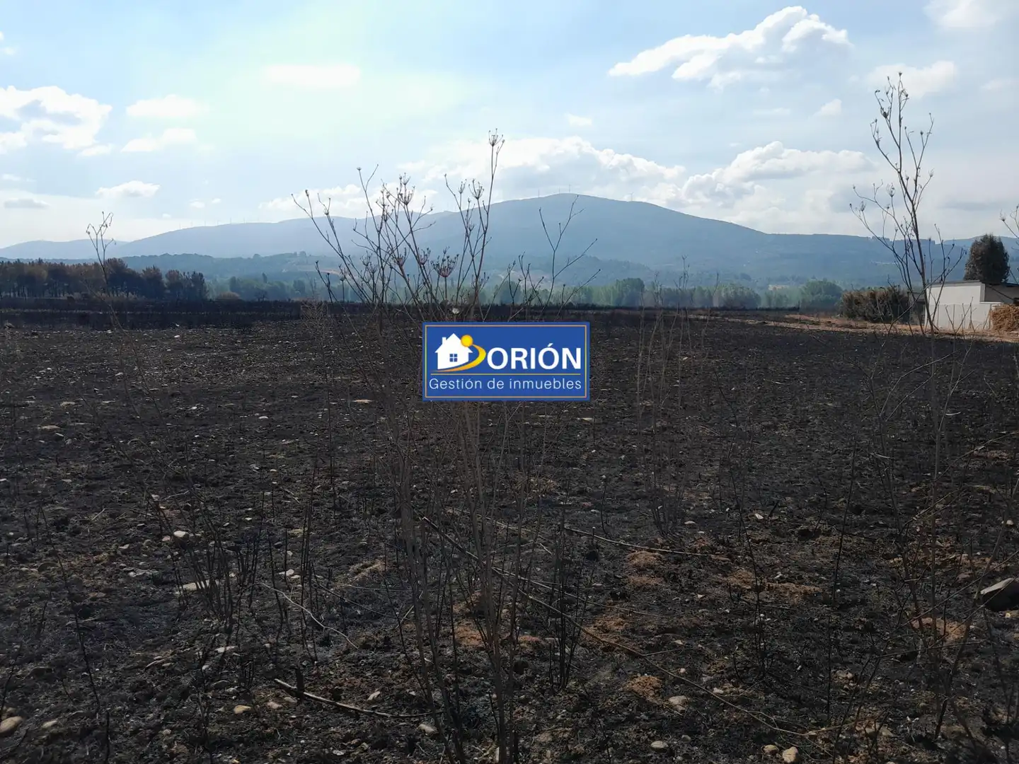 Terreni e lotti in vendita a Congosto