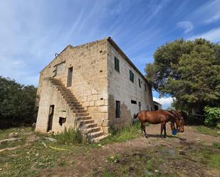 Vista exterior de Finca rústica en venda en  Palma de Mallorca amb Jardí privat, Terrassa i Traster