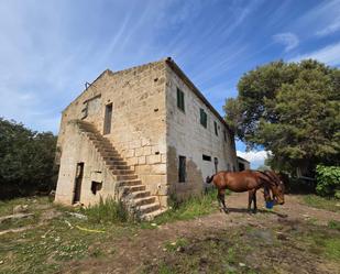 Exterior view of Country house for sale in  Palma de Mallorca  with Private garden, Terrace and Storage room