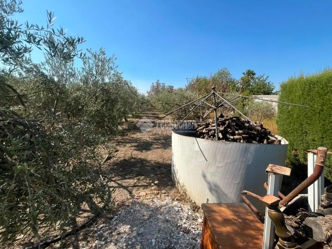 Terreni e lotti in vendita a Écija, imagen 15