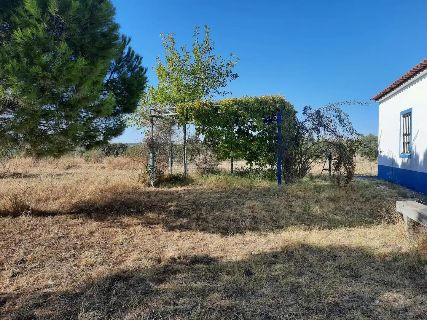Terrain rustique à vendre à La Estación, imagen 25