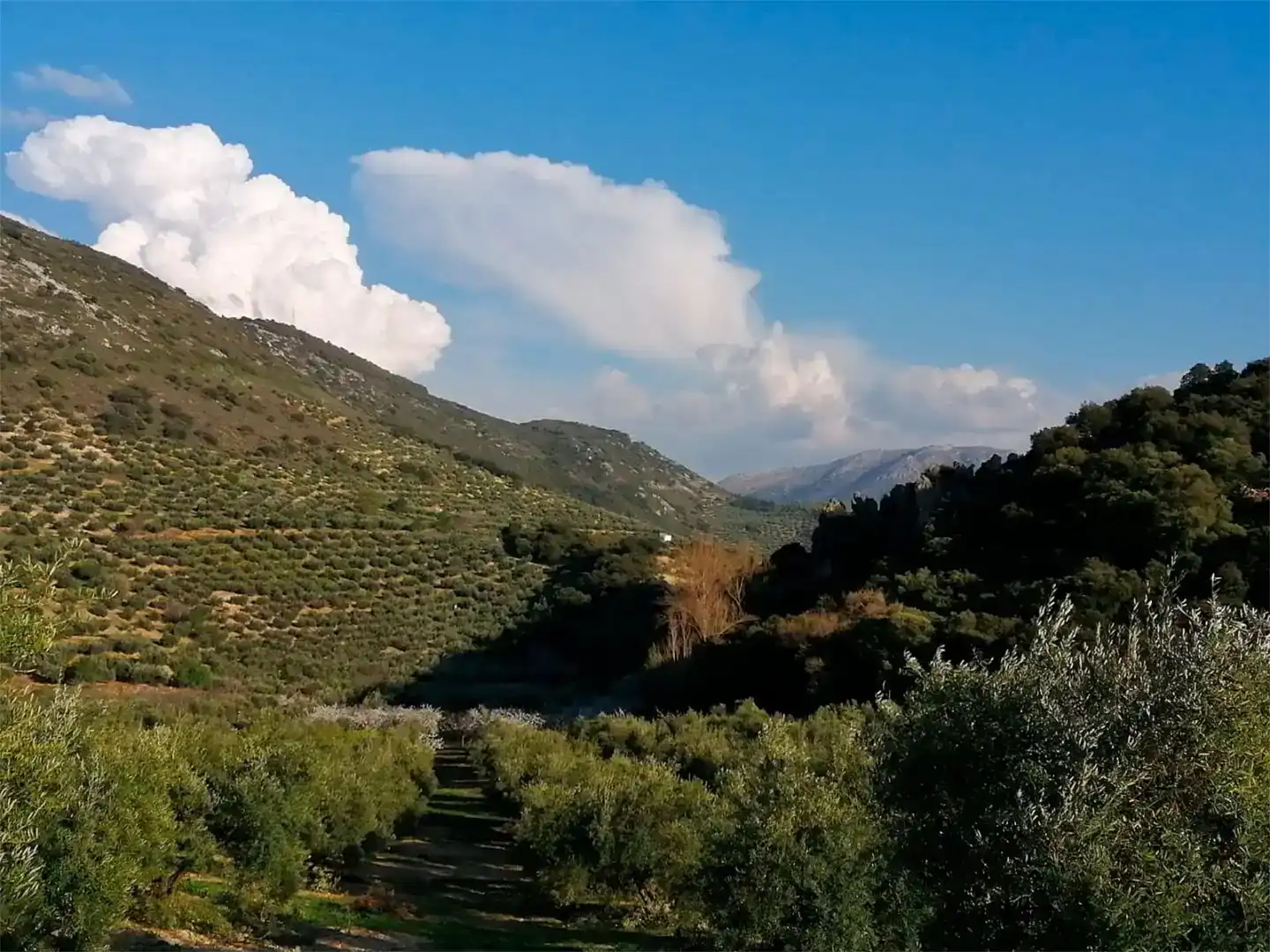 Außenansicht von Country house zum Verkauf in Valdepeñas de Jaén mit Schwimmbad
