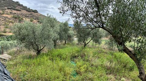 Foto 5 de Finca rústica en venda a Villanueva del Rey, Córdoba