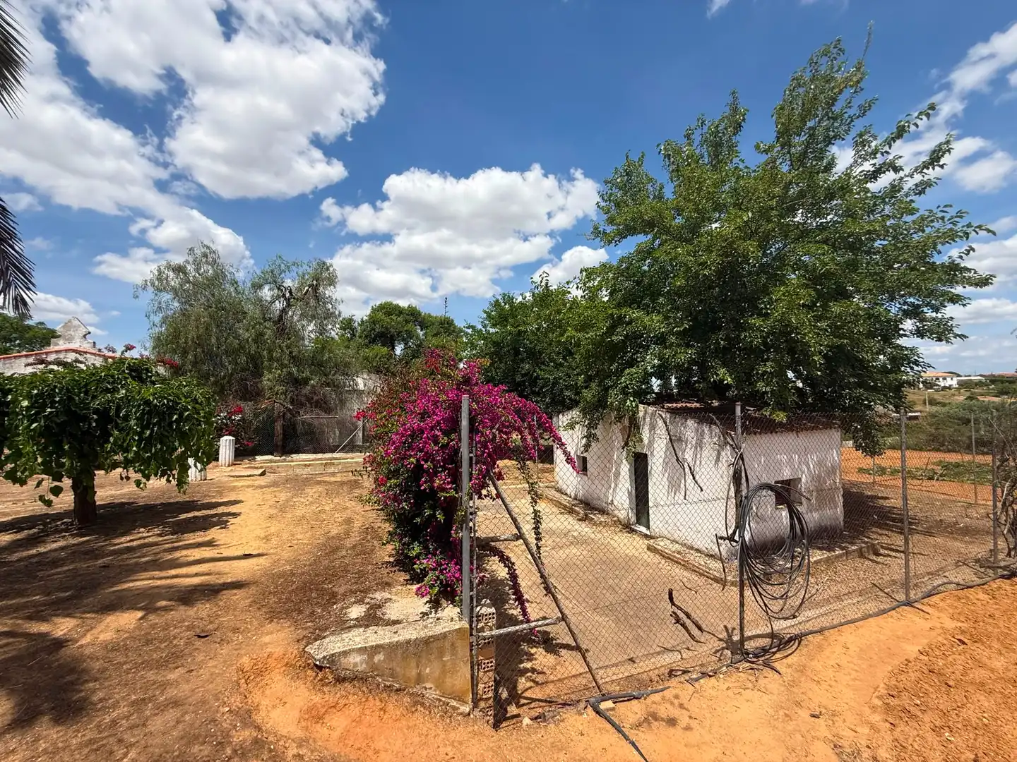 Chalet con piscina en venta en Carretera Olivares, imagen 59