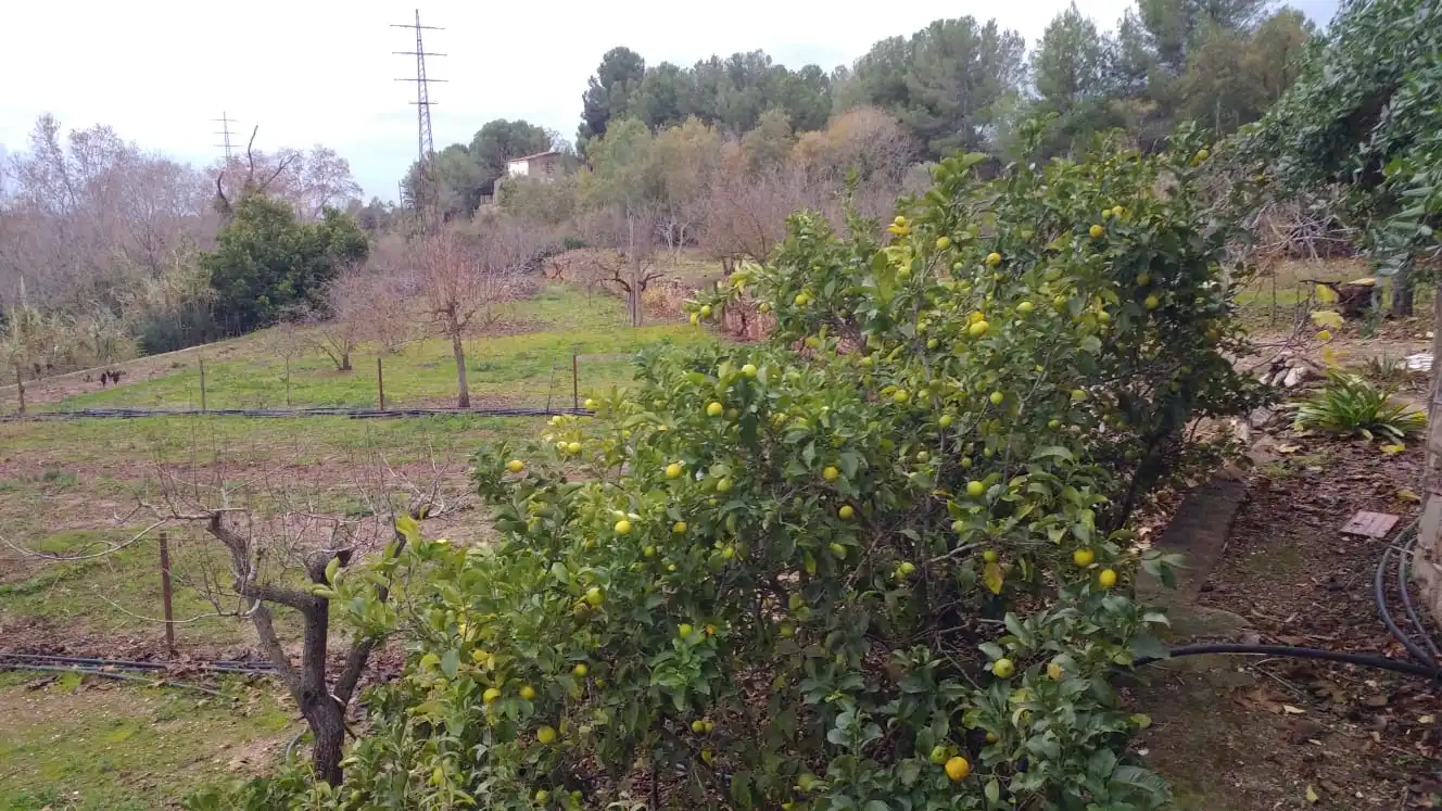 Country house zum Verkauf in Valls mit Alarm