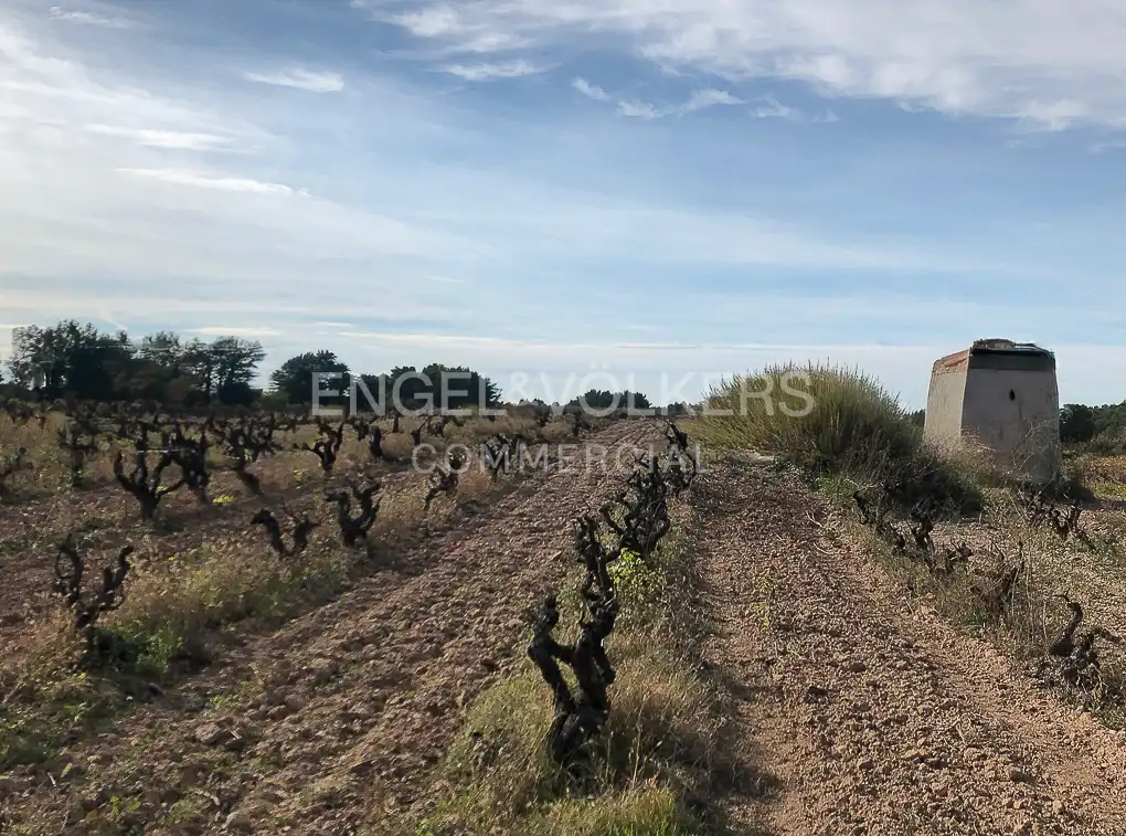 Fabrik Grundstücke zum Verkauf in Avinyonet del Penedès
