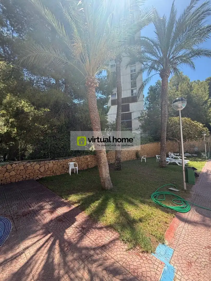 Garden of Flat for rent in Benidorm  with Air Conditioner, Terrace and Furnished