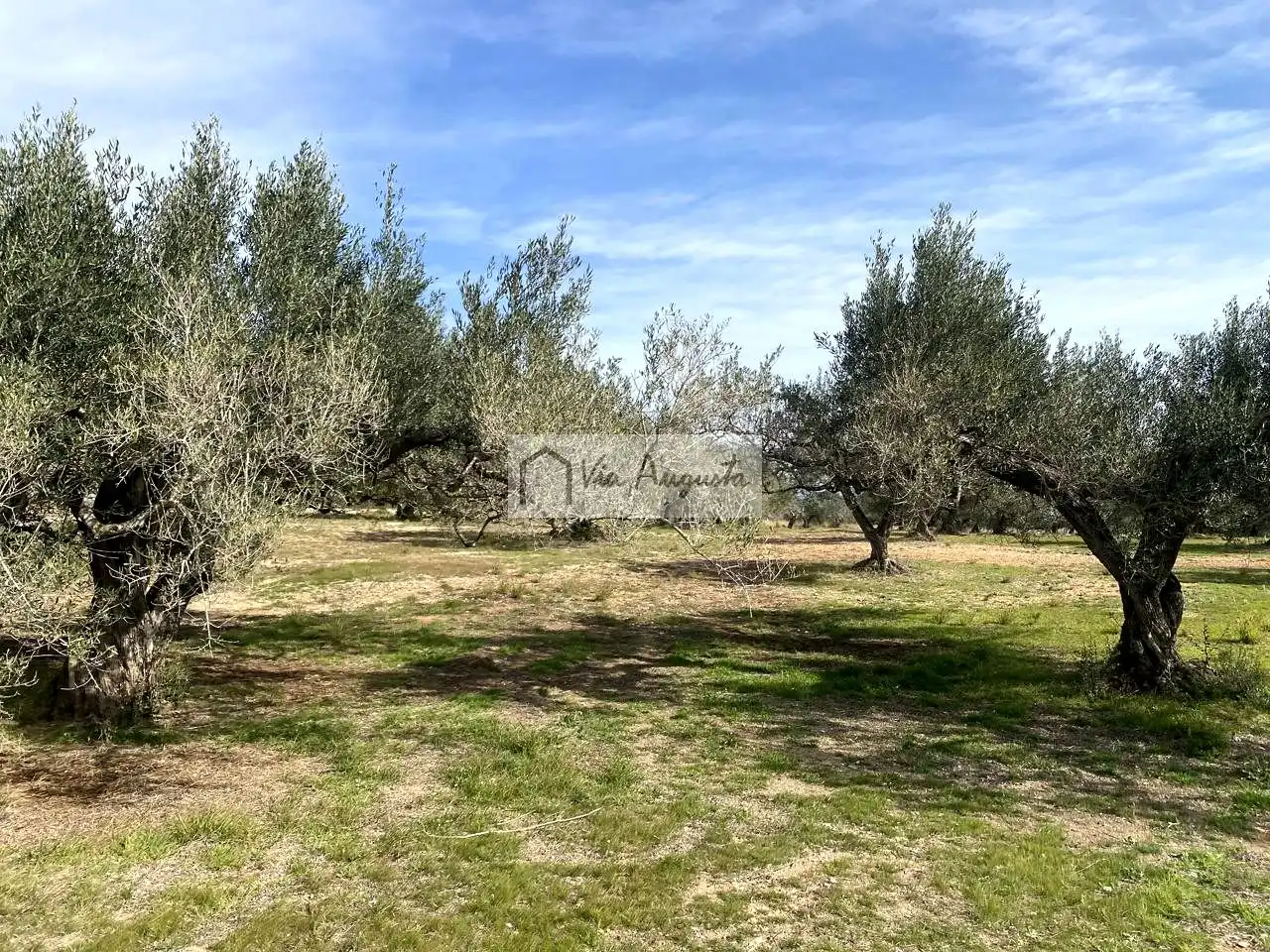 Terreno rustico in vendita a Planas, imagen 4