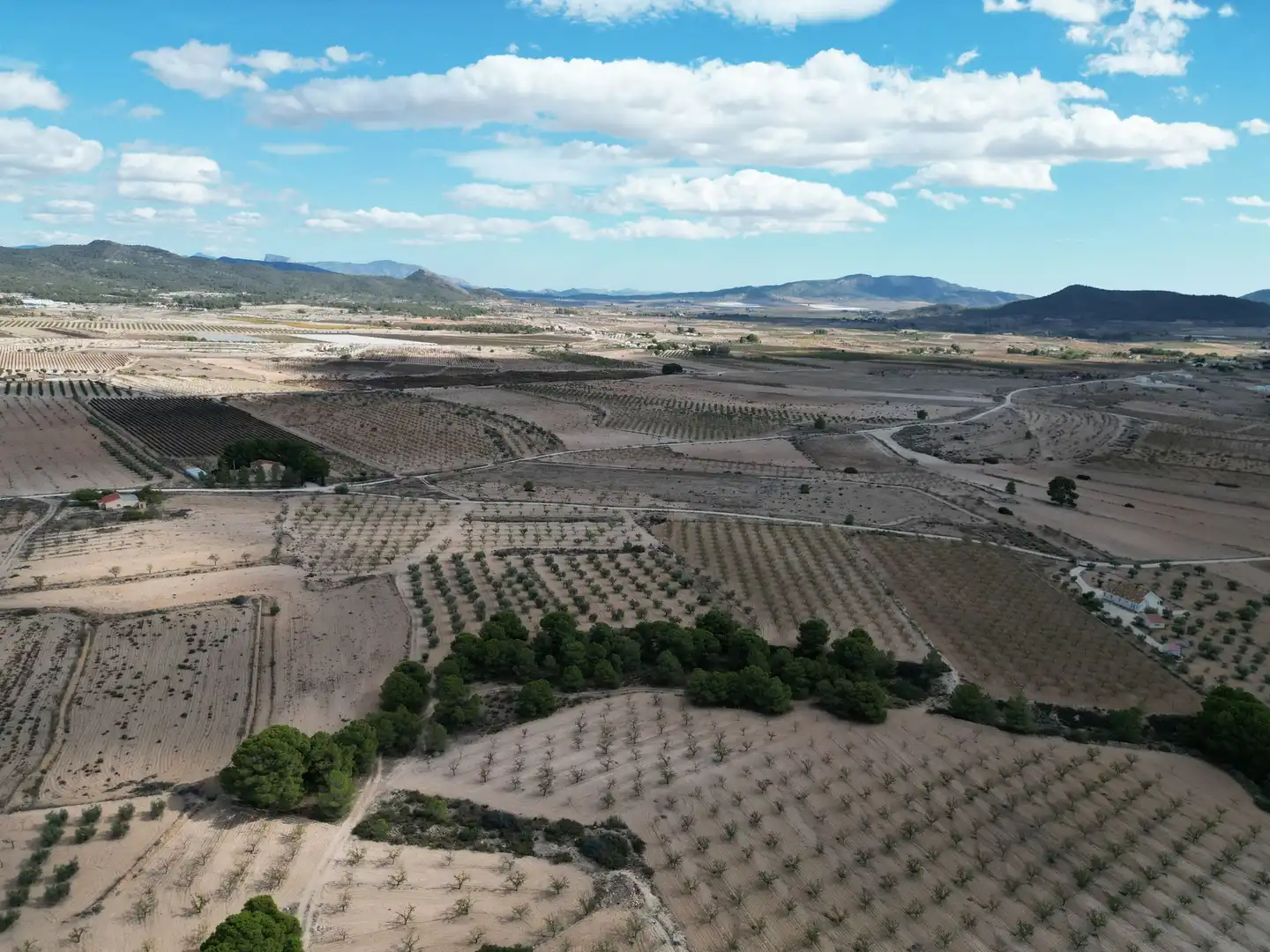 Terreno residencial en venta en El Pinós / Pinoso