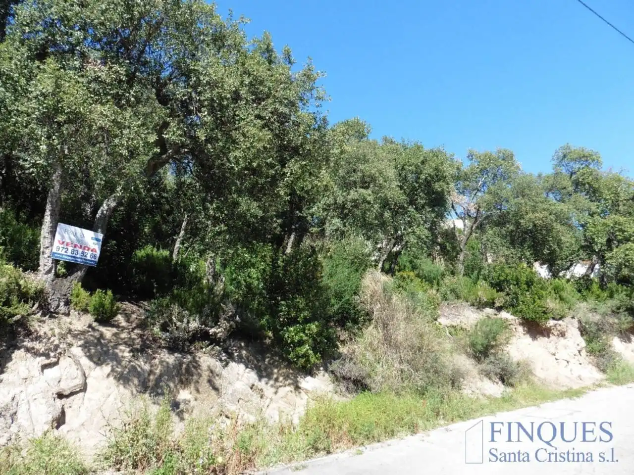 Rural land for sale in volta de l´arboç 241
