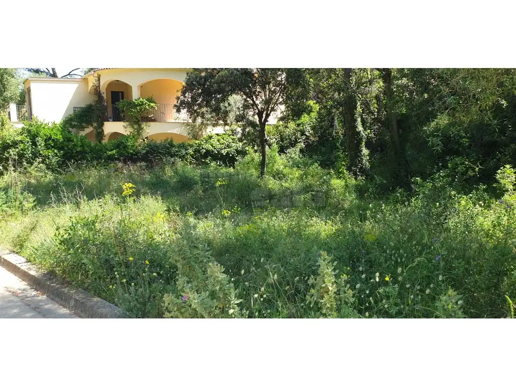 Terrain résidentiel à vendre à Platja de Pals, imagen 7