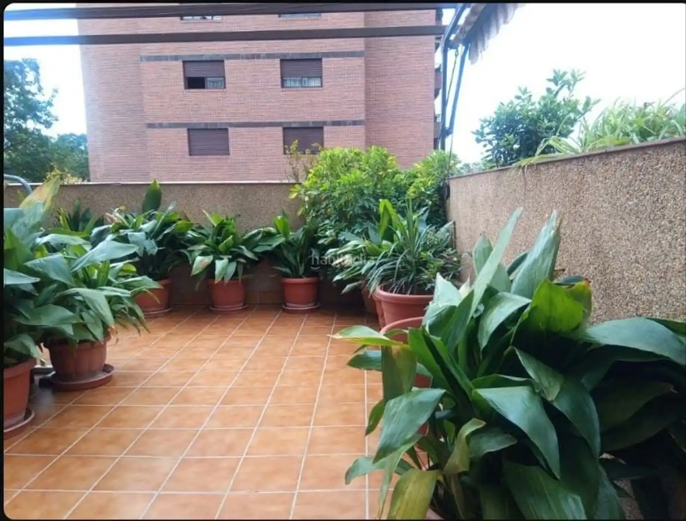Piso con piscina en venta en Calle Albondón 16, imagen 6