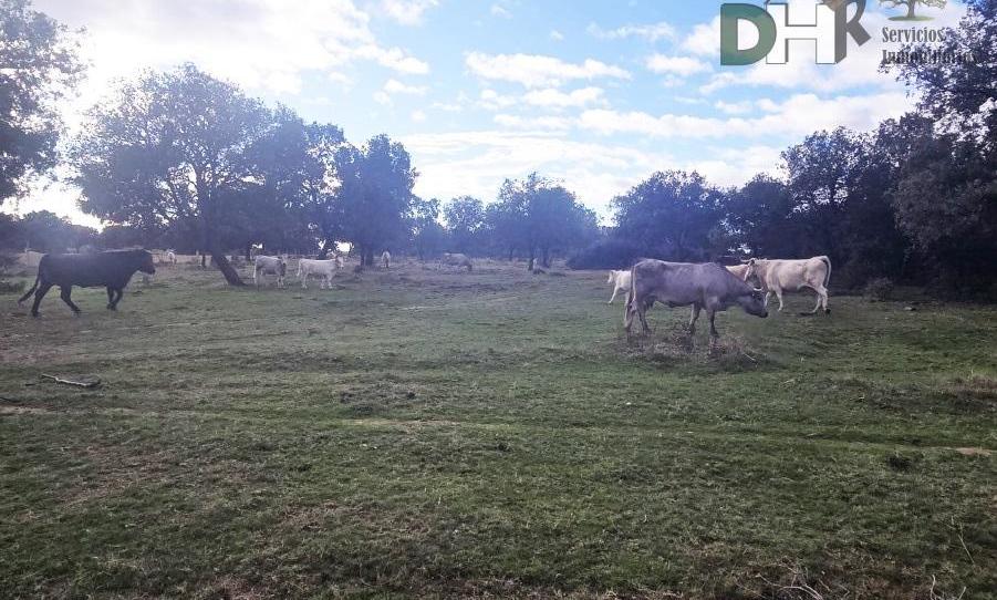 Photo 1 of Residential for sale in Zurguén, Salamanca