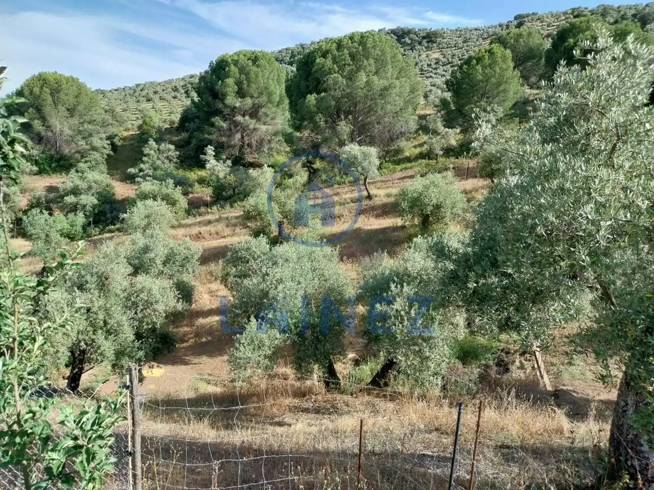 Grundstücke und Bauplätze zum Verkauf in Norte-Sierra, imagen 3