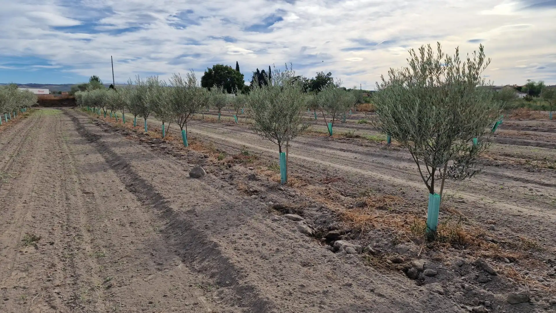 Terreno en venta en Santa Fe