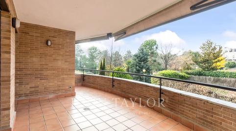 Foto 4 de Pis de lloguer a El Soto de la Moraleja, Madrid