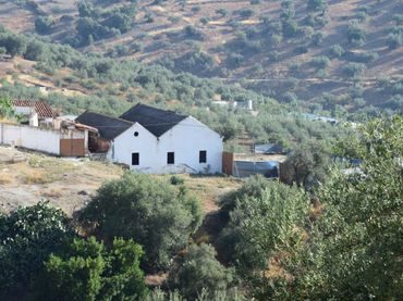 Rural land for sale in Cútar