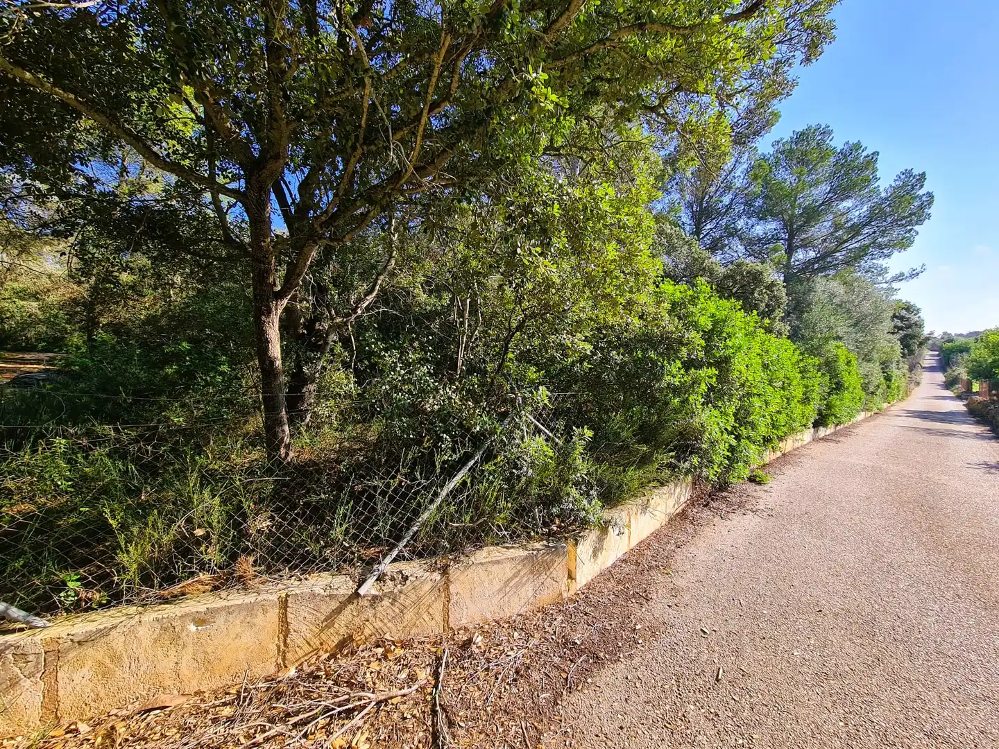 Terrain rustique à vendre à Costitx, imagen 21