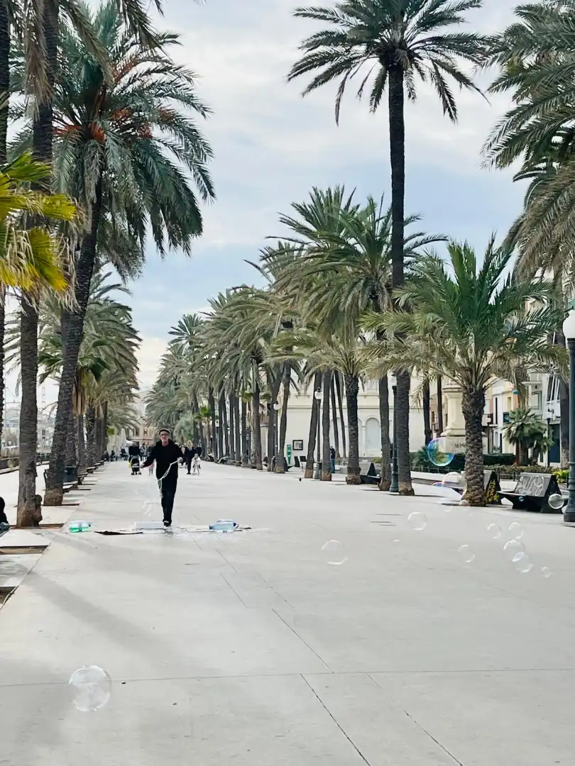 Vista exterior de Pis en venda en Badalona amb Moblat, Balcó i Alarma
